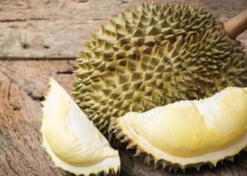 Desa Garuda, Surga Durian dan Wisata Batu Lapis di Kecamatan Padangguni