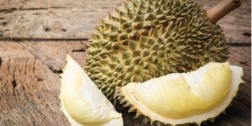 Desa Garuda, Surga Durian dan Wisata Batu Lapis di Kecamatan Padangguni